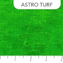 Canvas - ASTRO TURF