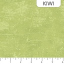 Canvas - KIWI