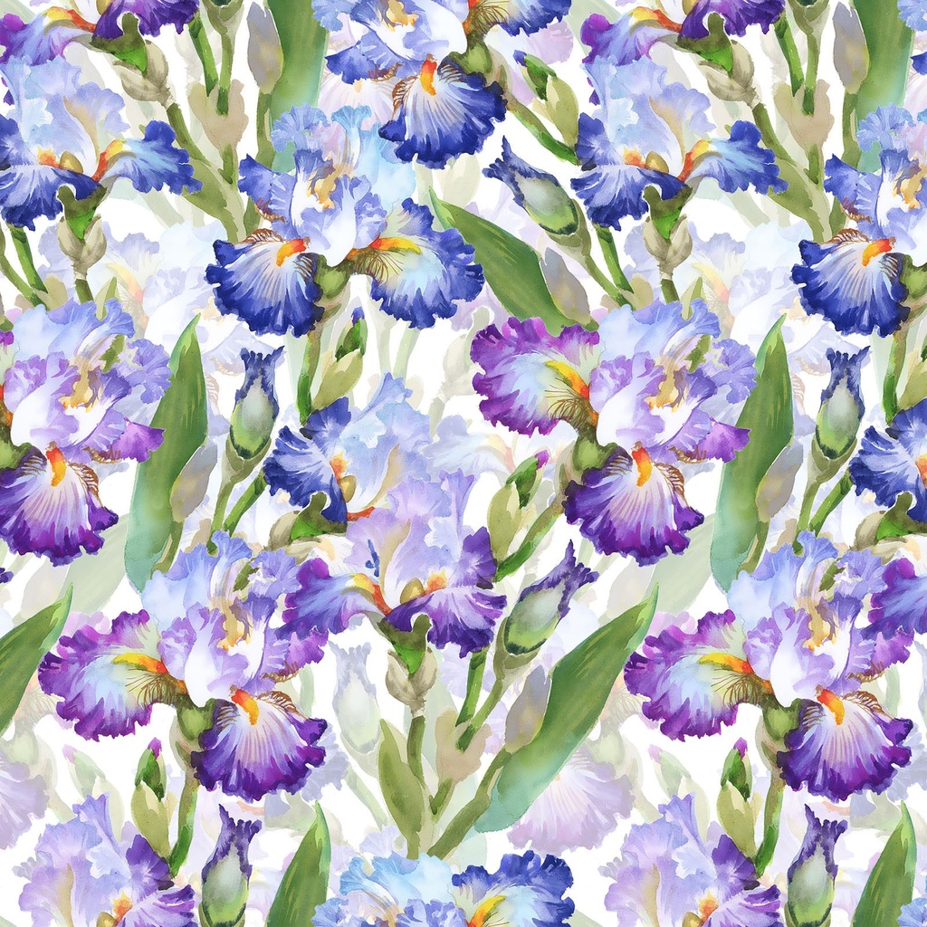 Decoupage - Iris - PURPLE