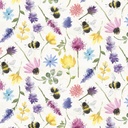 Bee Harmony - Tosss - WHITE/MULTI