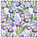 Decoupage - Iris - PURPLE