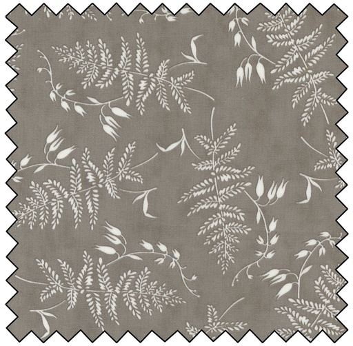 [M544341-15] Honeybloom - Fern Frond - CHARCOAL