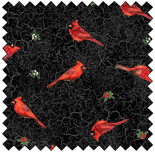 [N22837-99] Alregis Acres - Scattered Cardinals - BLACK