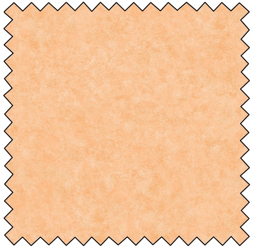 [CTS118504] Mirage Tonal Flannel - APRICOT