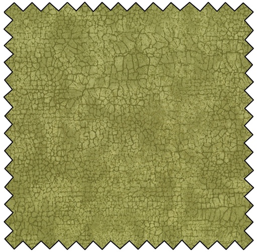 [N9045-73] Crackle - MOSS