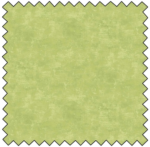 [N9030-71] Canvas - KIWI