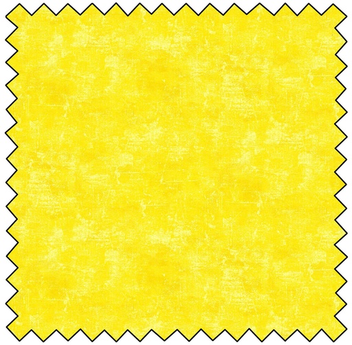 [N9030-50] Canvas - CANARY