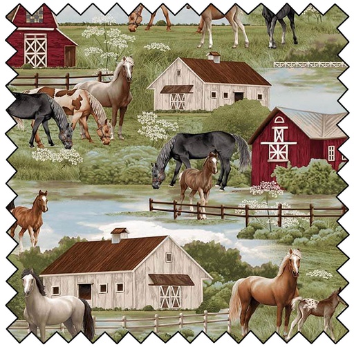 Cottonwood Stables - Horse Scenic - SAGE